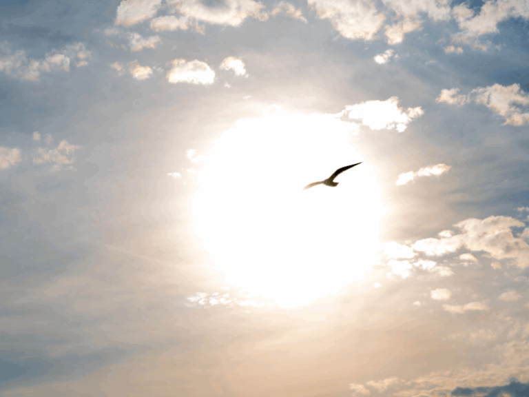 פדיון נפש – איך לבחור נכון את מי שיבצע את הטקס עבורך